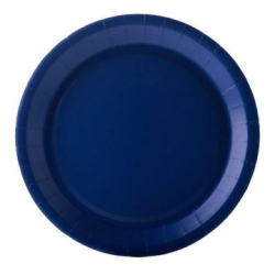 assiettes bleus marine