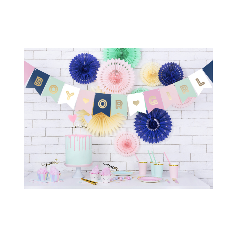 guirlande boy or girl ambiance