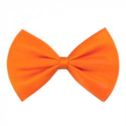 noeud papillon orange