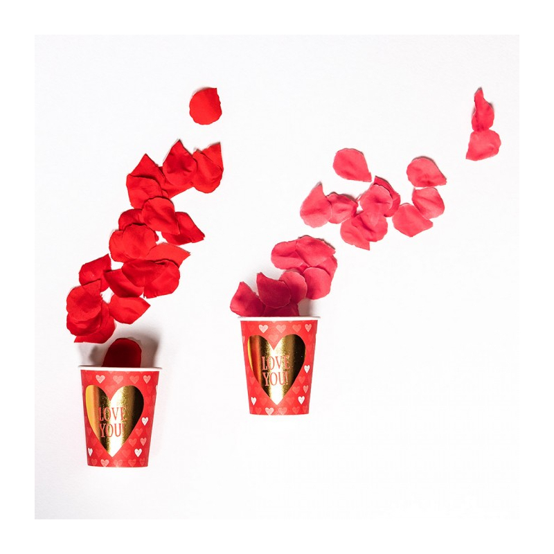 petales rose rouge ambiance