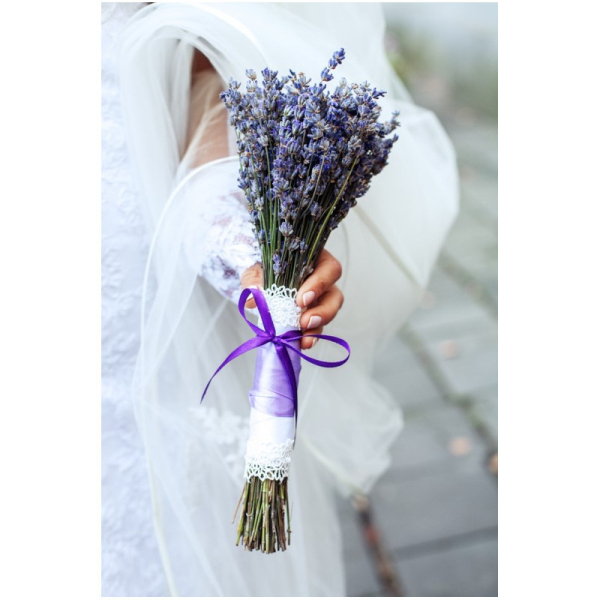 fleurs lavande drome provencal bouquet fleurs lavande drome provencal bouquet