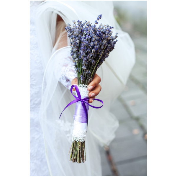 fleurs lavande drome provencal bouquet