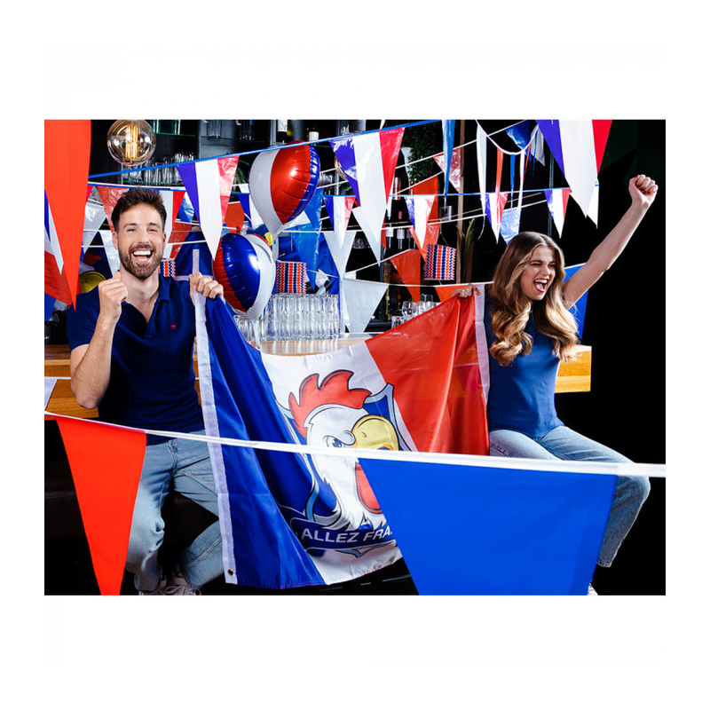 ballon tricolore football