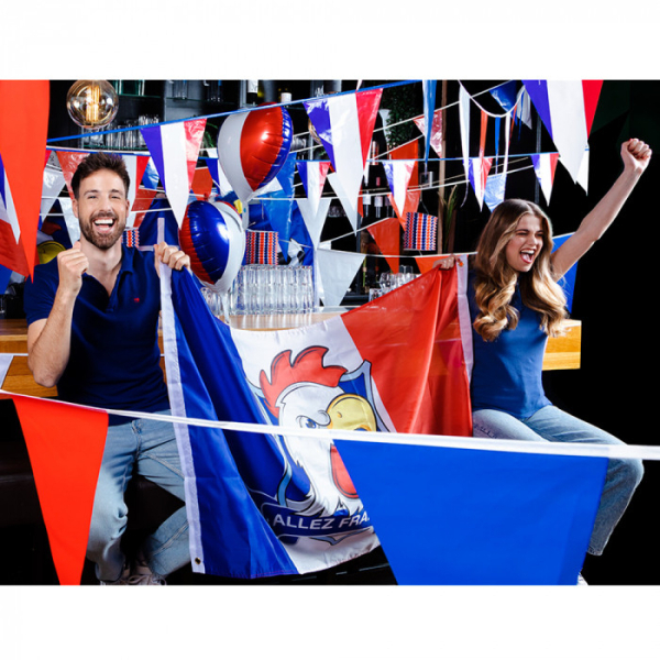 ballon tricolore football