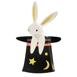 assiette lapin magicien