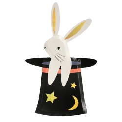 assiette lapin magicien