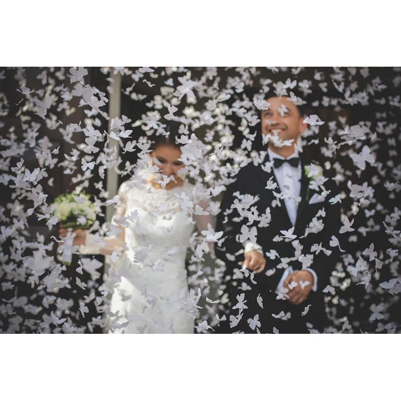 canon a confettis papillons blanc mariage