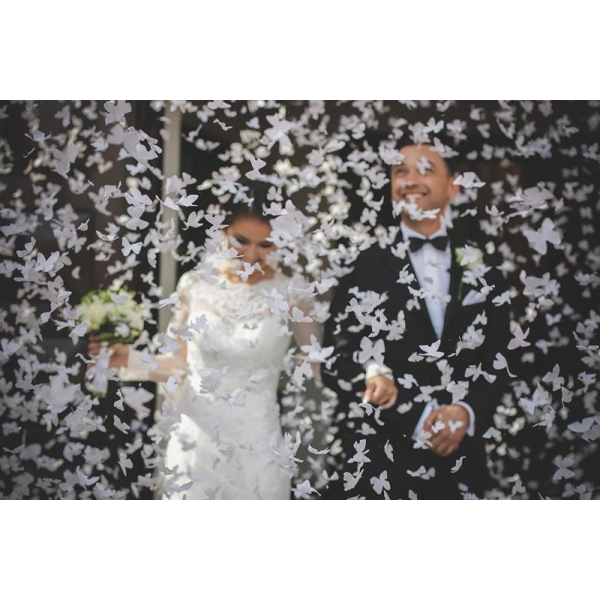 canon a confettis papillons blanc mariage