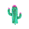 Décoration Cactus